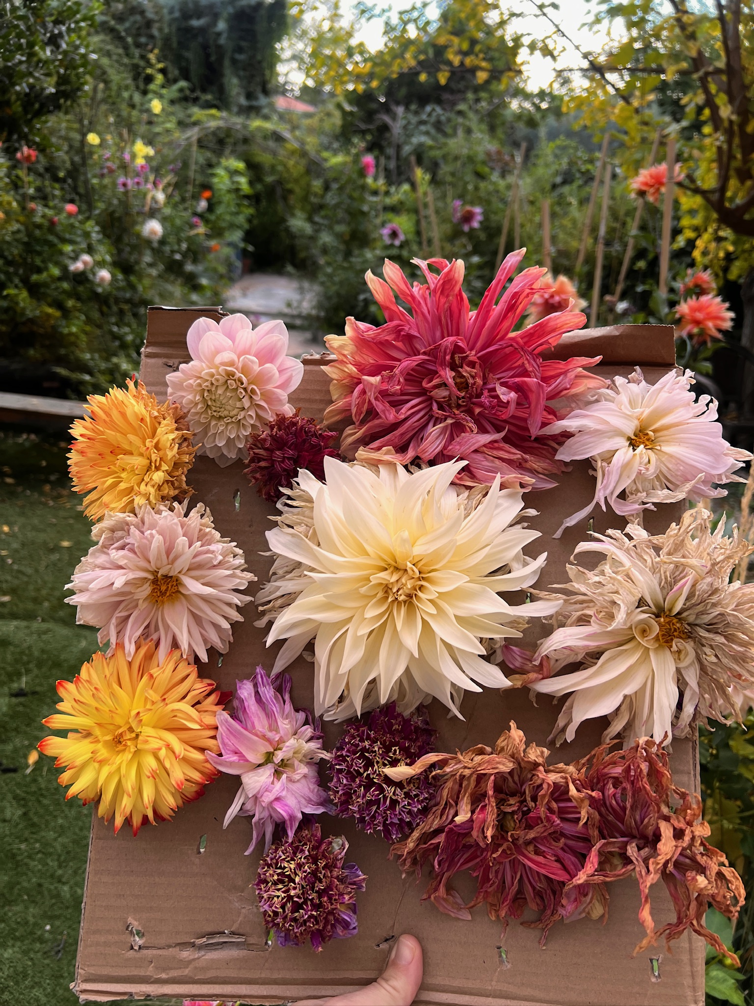 Bouquet de temporada