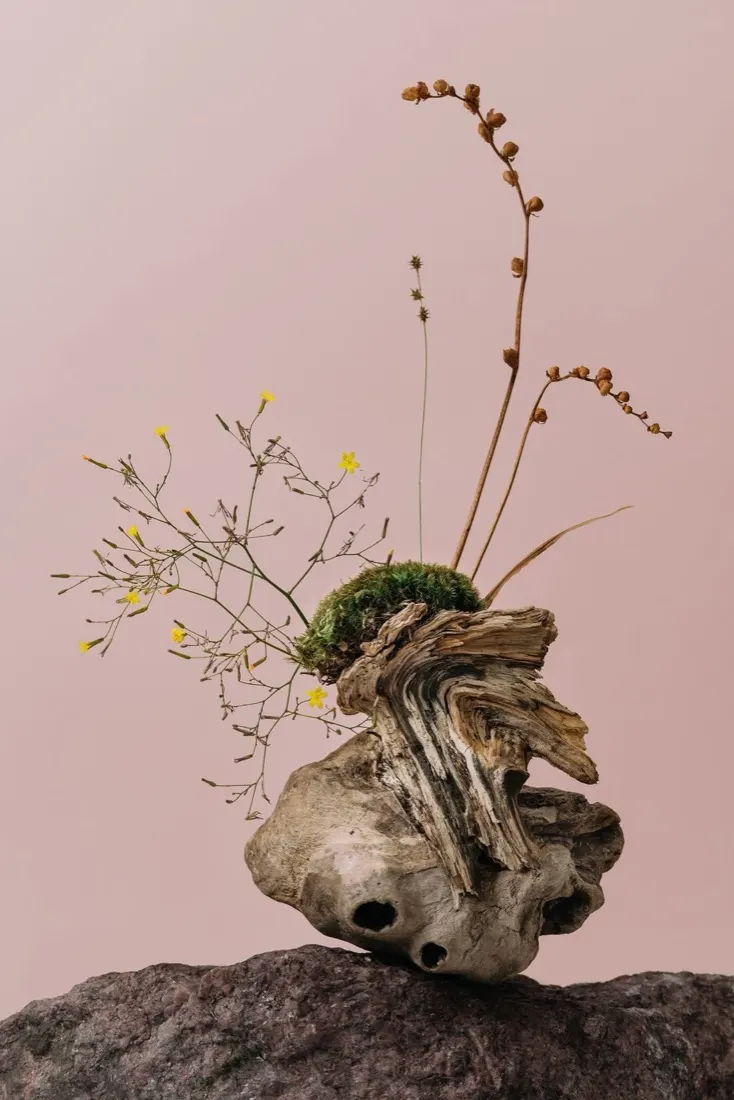 Escultura botánica de madera, musgo y flores secas