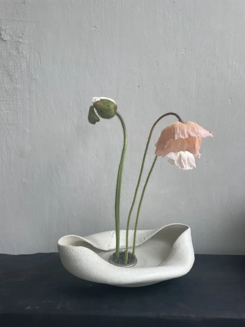 Ikebana de amapolas en un recipiente de cerámica blanca